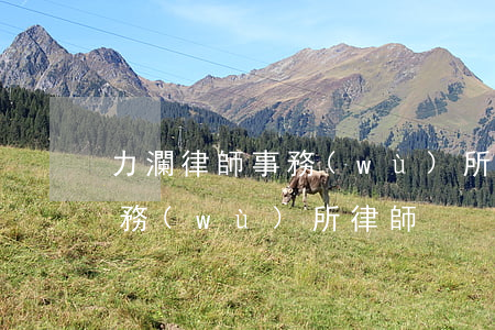力瀾律師事務(wù)所怎么樣(力瀾律師事務(wù)所律師)