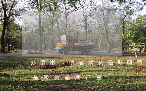 办信用卡回看网贷逾期嘛(信用卡逾期严重还是网贷逾期严重)