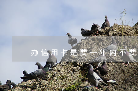 办信用卡是要一年内不要逾期对吧