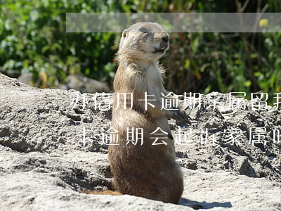 办信用卡逾期,亲属留我的电话会影响吗（信用卡逾期会起诉家属吗）