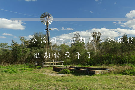 办信用卡逾期怎么和银行协商(为什么信用卡逾期协商不了)