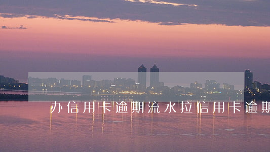 办信用卡逾期流水(拉信用卡逾期流水)