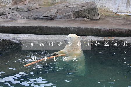 办信用卡逾期走什么流程（信用卡欠款逾期走程序怎么走）