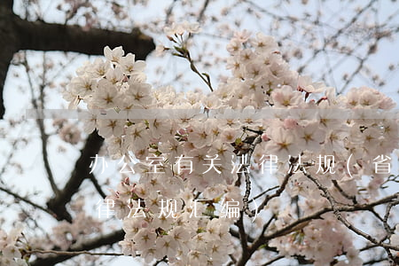 办公室有关法律法规(省政府法制办常用法律法规汇编)
