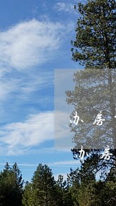 办房贷信用卡有逾期怎么办（信用卡年费逾期办房贷）
