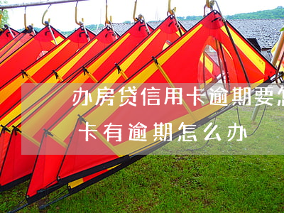 办房贷信用卡逾期要怎么写说明 办房贷信用卡有逾期怎么办