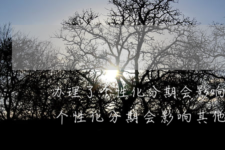 办理了个性化分期会影响其他行的额度吗-个性化分期 会影响其他信用卡吗
