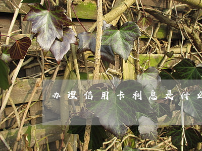办理信用卡利息是什么(办信用卡借钱的利息)