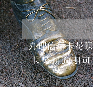 办理信用卡花呗逾期可以办理吗-办理信用卡花呗逾期可以办理吗