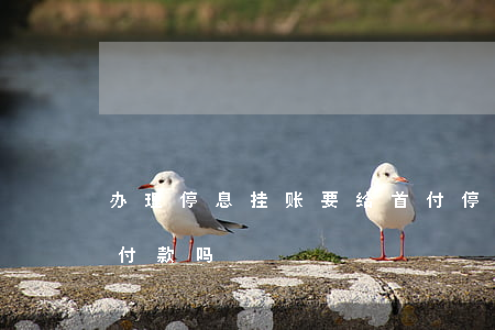 办理停息挂账要给首付(停息挂账一定要付首付款吗)