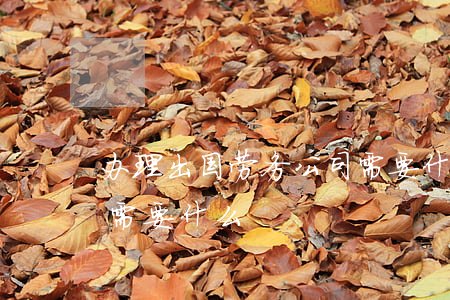 办理出国劳务公司需要什么手续(出国劳务都需要什么)