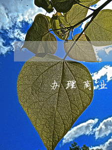办理商业汇票要注意哪些问题
