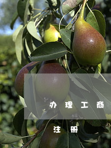 办理工商执照流程(工商局办执照要哪些手续注册) 办理工商执照流程(工商局办执照要哪些手续注册)