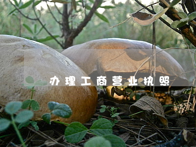 办理工商营业执照