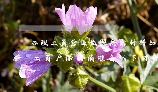 办理工商营业执照所需材料（如果你是办个体工商户，那么请准备以下材料）