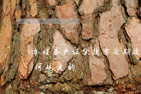 办理房产证贷款有逾期(逾期办房产证法律如何规定的)