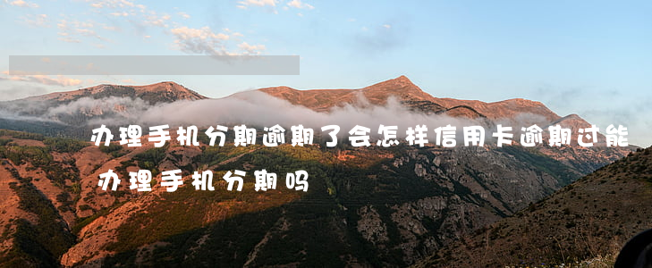 办理手机分期逾期了会怎样（信用卡逾期过能办理手机分期吗）