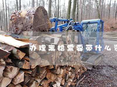 办理离婚需要带什么资料2021
