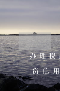 办理税贷信用卡去年有逾期能办吗-办理税贷信用卡去年有逾期能办吗有影响吗