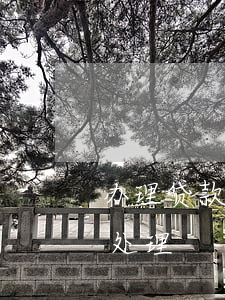 办理贷款银行有逾期(如果银行贷款逾期如何处理)