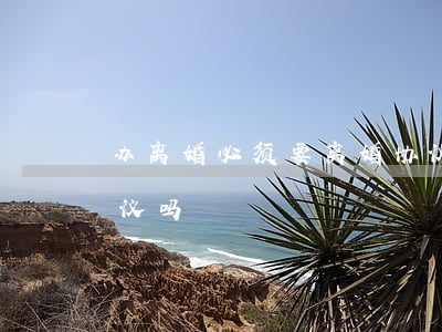办离婚必须要离婚协议么(离婚必须有离婚协议吗?)