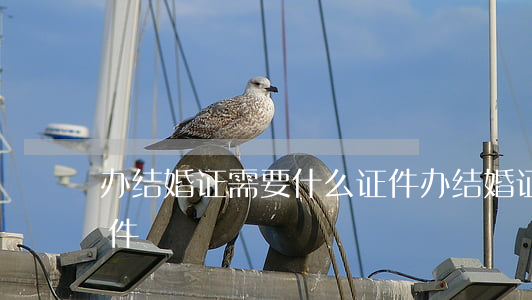 办结婚证需要什么证件(办结婚证需要什么证件)