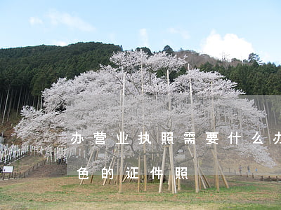 办营业执照需要什么(办营业执照需要什么颜色的证件照)