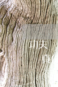 功夫貸會(huì)起訴嗎（功夫貸逾期說起訴真的么）