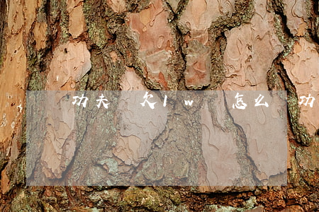 功夫貸欠1w會怎么樣(功夫貸被清除了嗎)