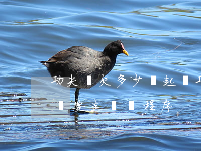 功夫貸欠多少會起訴(功夫貸發(fā)信息說要走訴訟程序)