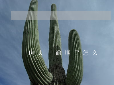 功夫貸逾期了怎么樣
