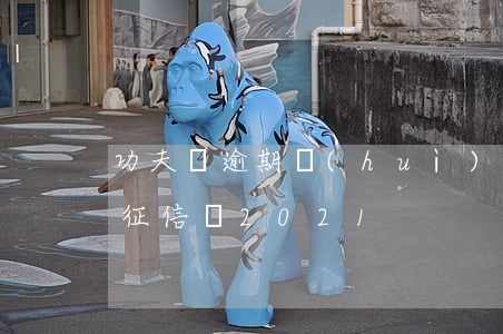 功夫貸逾期會(huì)怎么樣-功夫貸上征信嗎2021