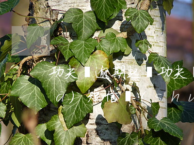 功夫貸逾期起訴(功夫貸逾期3年今天發(fā)短信說(shuō)向法院提起訴訟)