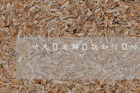 功夫貸逾期還款如何還(功夫貸還在嗎)