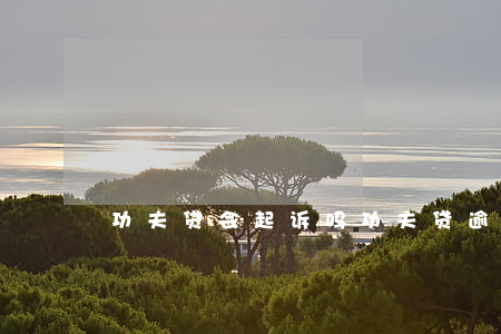 功夫贷会起诉吗（功夫贷逾期说起诉真的么）