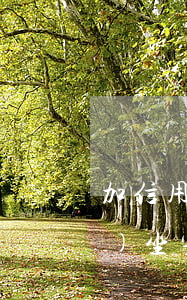加信用卡欠了十幾萬(wàn)會(huì)坐牢嗎（加信用卡欠了十幾萬(wàn)）