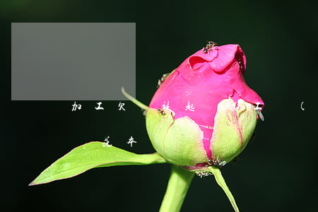 加工欠錢被起訴(加工費(fèi)欠款起訴狀范本)