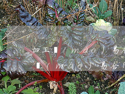 加工貿(mào)易合同糾紛如何處理(加工貿(mào)易合同糾紛如何處理)
