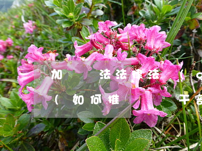 加強憲法法律法規(guī)教育引導黨員(如何推動黨員干部增強法制意識)