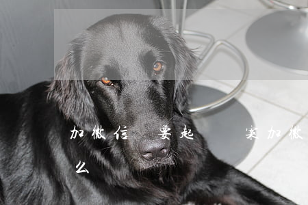 加微信說要起訴審案(加微信說要起訴審案怎么辦)