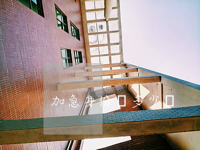 加急身份證多少錢