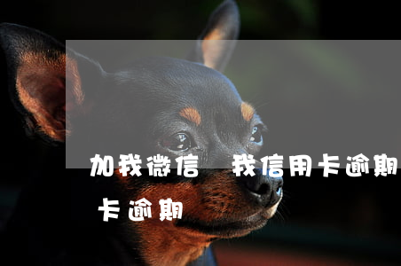 加我微信說我信用卡逾期(加我微信說我信用卡逾期)