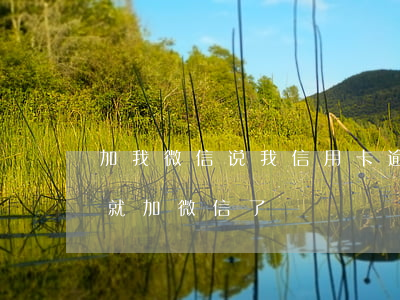 加我微信说我信用卡逾期(信用钱包逾期一天就加微信了)