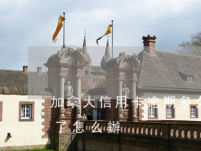 加拿大信用卡逾期多久清(加拿大銀行卡過期了怎么辦)