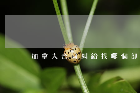 加拿大合同糾紛找哪個部門