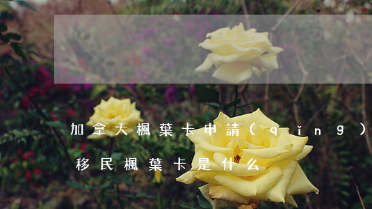 加拿大楓葉卡申請(qǐng)條件(加拿大移民楓葉卡是什么)