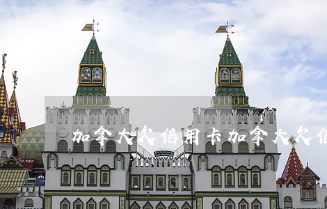 加拿大欠信用卡(加拿大欠信用卡多少錢)