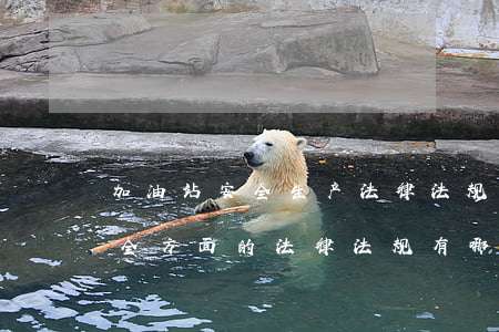 加油站安全生产法律法规安全法(加油站安全方面的法律法规有哪些)