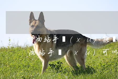 加油站手續(xù)能過(guò)戶嗎(加油站手續(xù)可以過(guò)戶嗎)