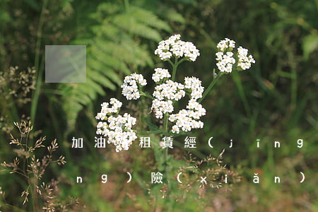 加油站租賃經(jīng)營法律風(fēng)險(xiǎn)的審查要點(diǎn)
